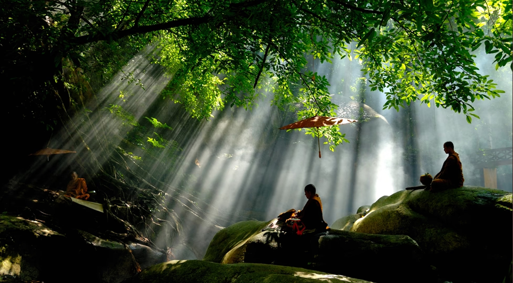 Meditation